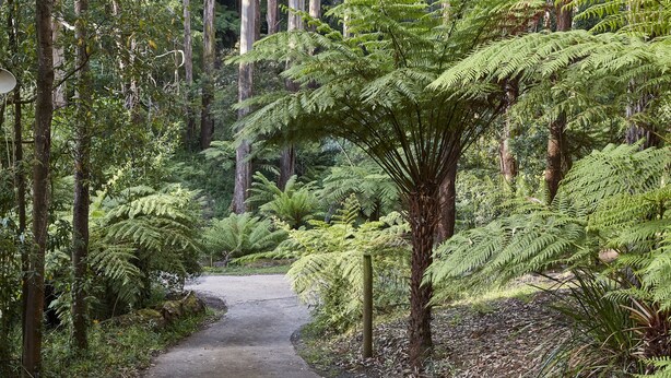 Unclassified image, 1 of 21, button - Brook Cottage@FernglenForestRetreat (Mount Dandenong)