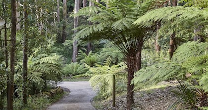 Brook Cottage: Private rainforest with river