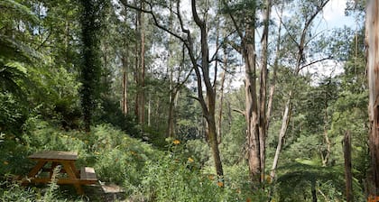 Brook Cottage: Private rainforest with river