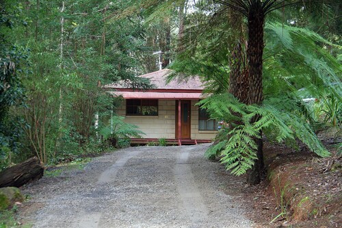 Brook Cottage: Private rainforest with river