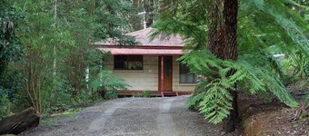 Brook Cottage: Private rainforest with river