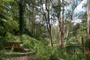 Property grounds - Jacuzzi lodge: Private rainforest with river (Mount Dandenong)
