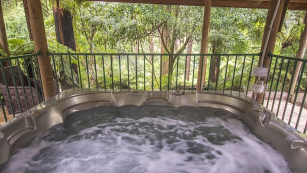 Outdoor spa tub - Jacuzzi Lodge@FernglenForestRetreat (Mount Dandenong)