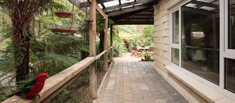 Windmill lodge: Private rainforest with river