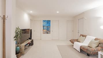 Smart TV, fireplace, video games, DVD player