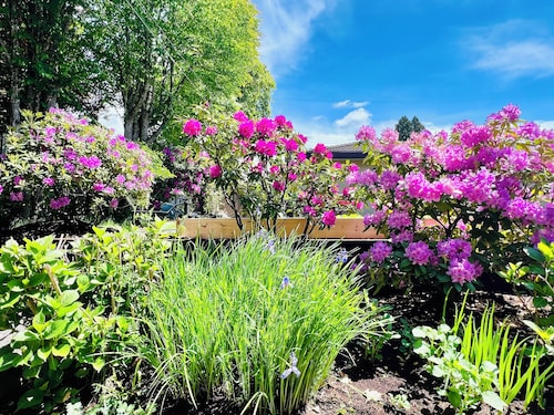 Comfy Home in Heart of Vancouver--Easy Access to Everything