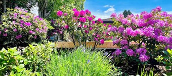 Comfy Home in Heart of Vancouver--Easy Access to Everything