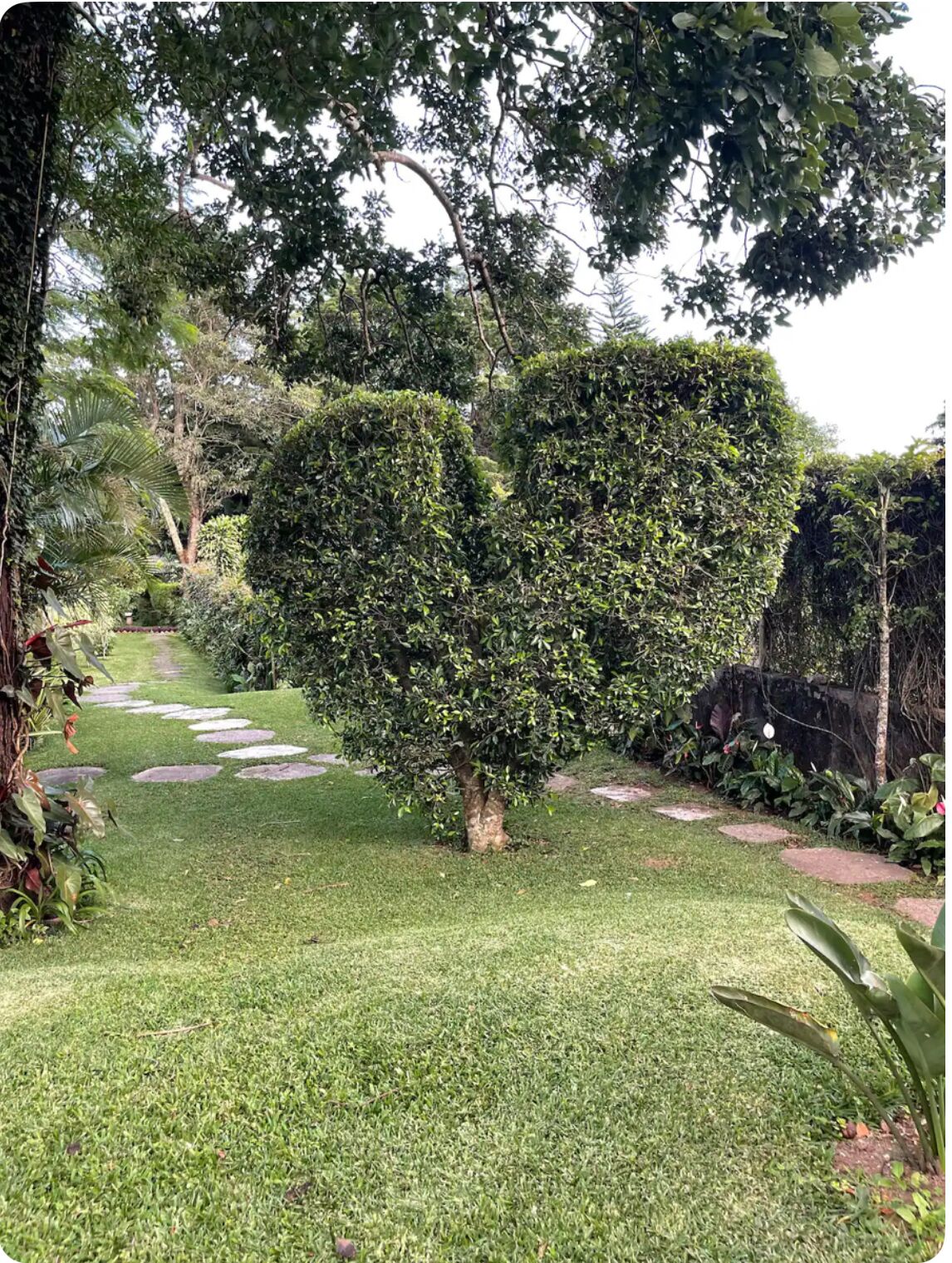 A well-maintained garden with a stone pathway, lush greenery, and a variety of trees.