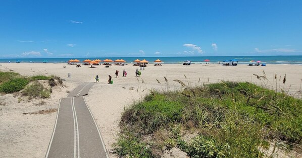 Playa en los alrededores