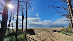 Une plage avec des dunes de sable, des arbres et un ciel dégagé.