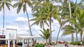 Zona de piscina con palmeras, un bar y vista al océano.