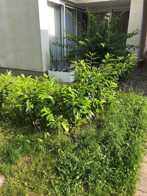 Detalj exteriör