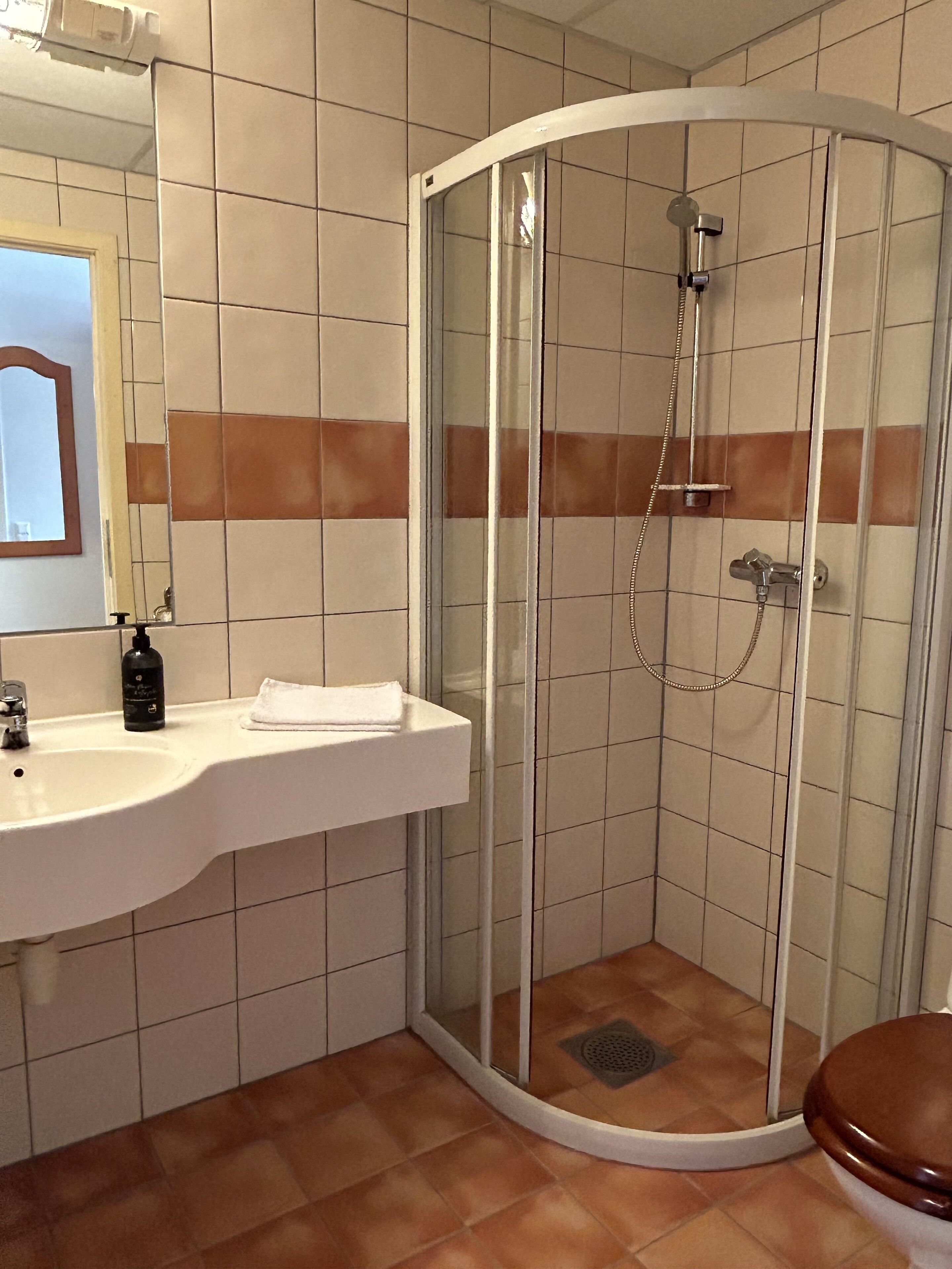 A bathroom with a glass-enclosed shower, a white sink with a mirror, and a toilet.