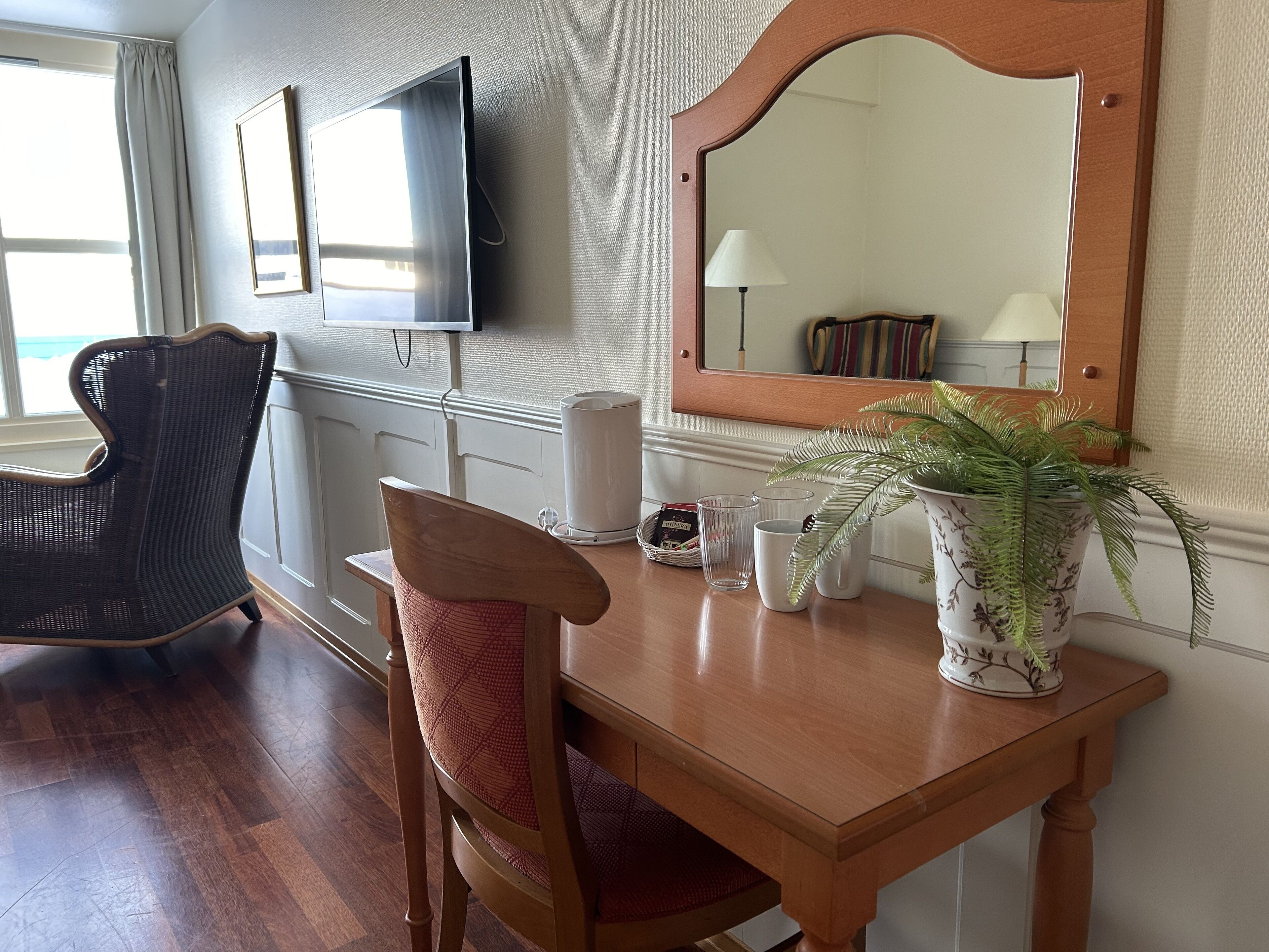 Habitación de hotel con una mesa de comedor de madera, una silla de mimbre, un televisor, un espejo y una planta en maceta.