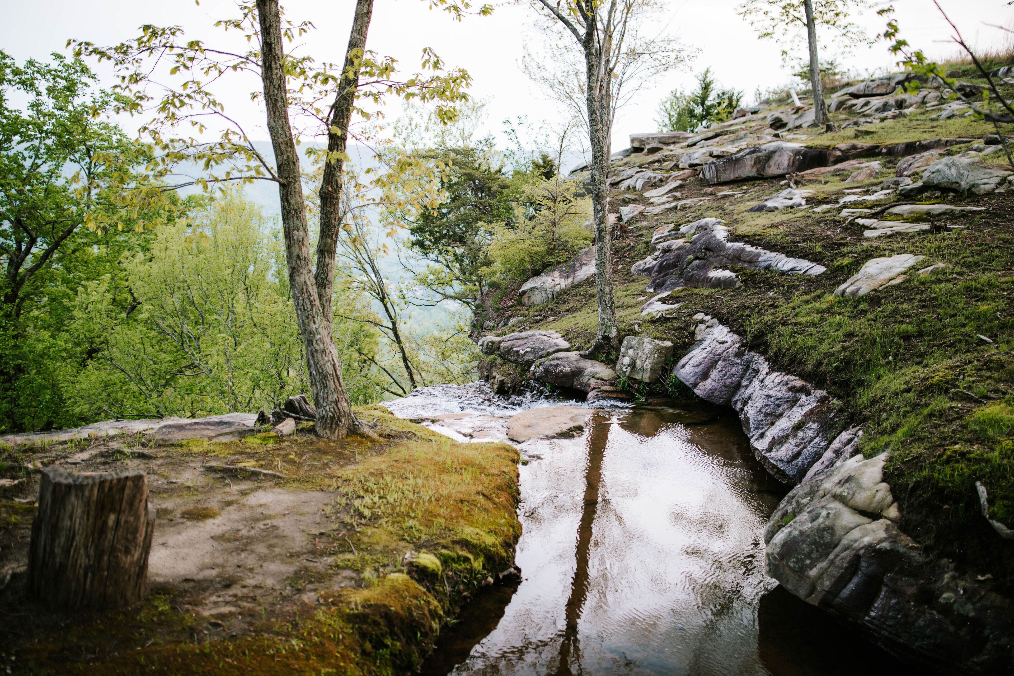 A natural landscape with a stream flowing over rocks, surrounded by trees and greenery.