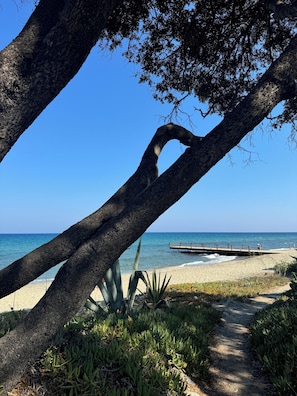 Playa en los alrededores