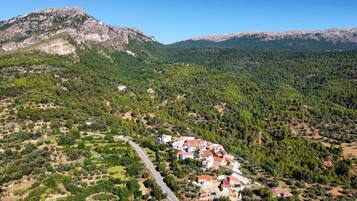 Experience the tranquility of a traditional village nestled in a lush valley surrounded by dense forests and rugged mountains.
