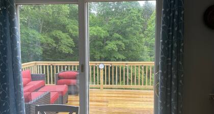 Charming Remodeled Home with Deck overlooking Land Trust - Dog Friendly!