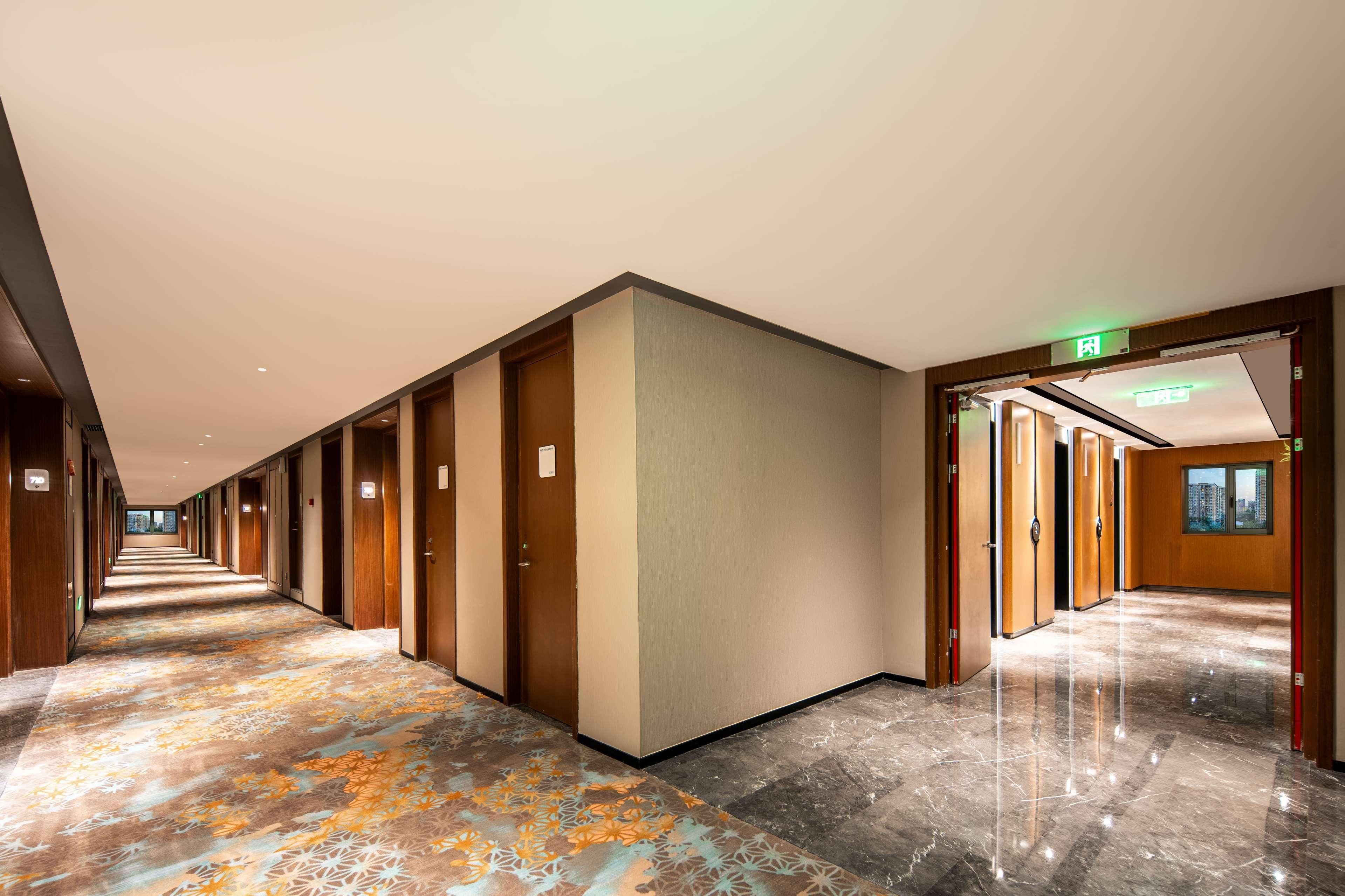A hotel corridor with a patterned carpet, wooden doors, and a view of the city through a window.