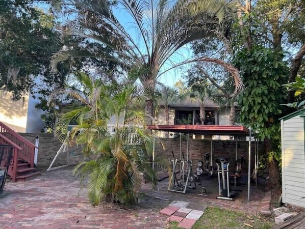 A patio area with a palm tree, a covered exercise area, and a brick pathway.