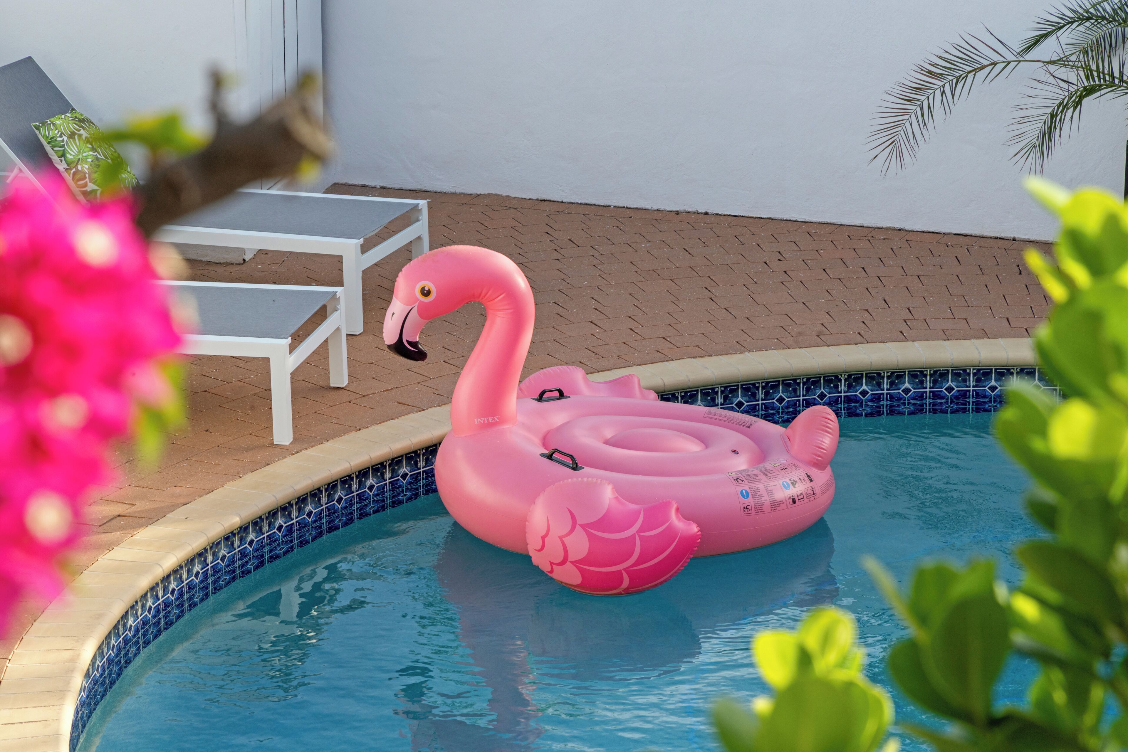 Une piscine avec un flotteur en forme de flamant rose.