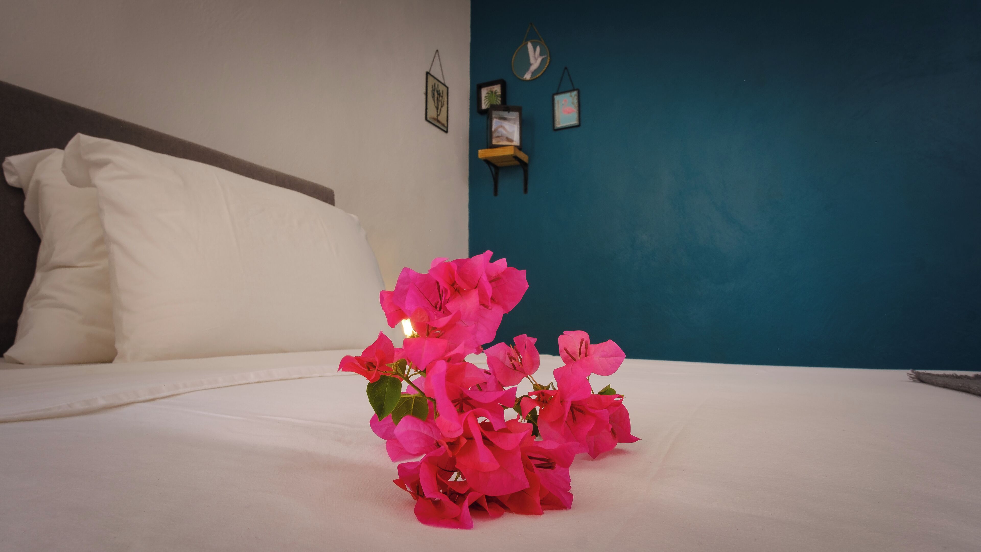 Foto - Saint Joris a tiny Boutique Resort