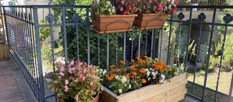 Lovely Tuscan Mountain Retreat -- Enjoy Italian Village Life!