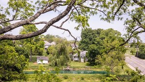 A residential area with a pond, houses, and a road.