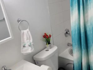 Hair dryer, towels, soap, shampoo