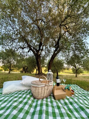 Een picknickopstelling met een geruit tafelkleed, een mand, een fles, glazen en een lantaarn onder een grote boom.