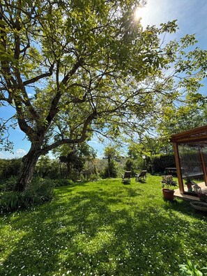 A garden with a large tree, a gazebo, and two chairs. - Casale dell'Assiolo (Castiglione del Lago)