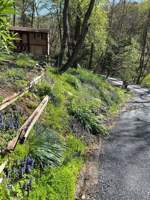 Terrain de l’hébergement 