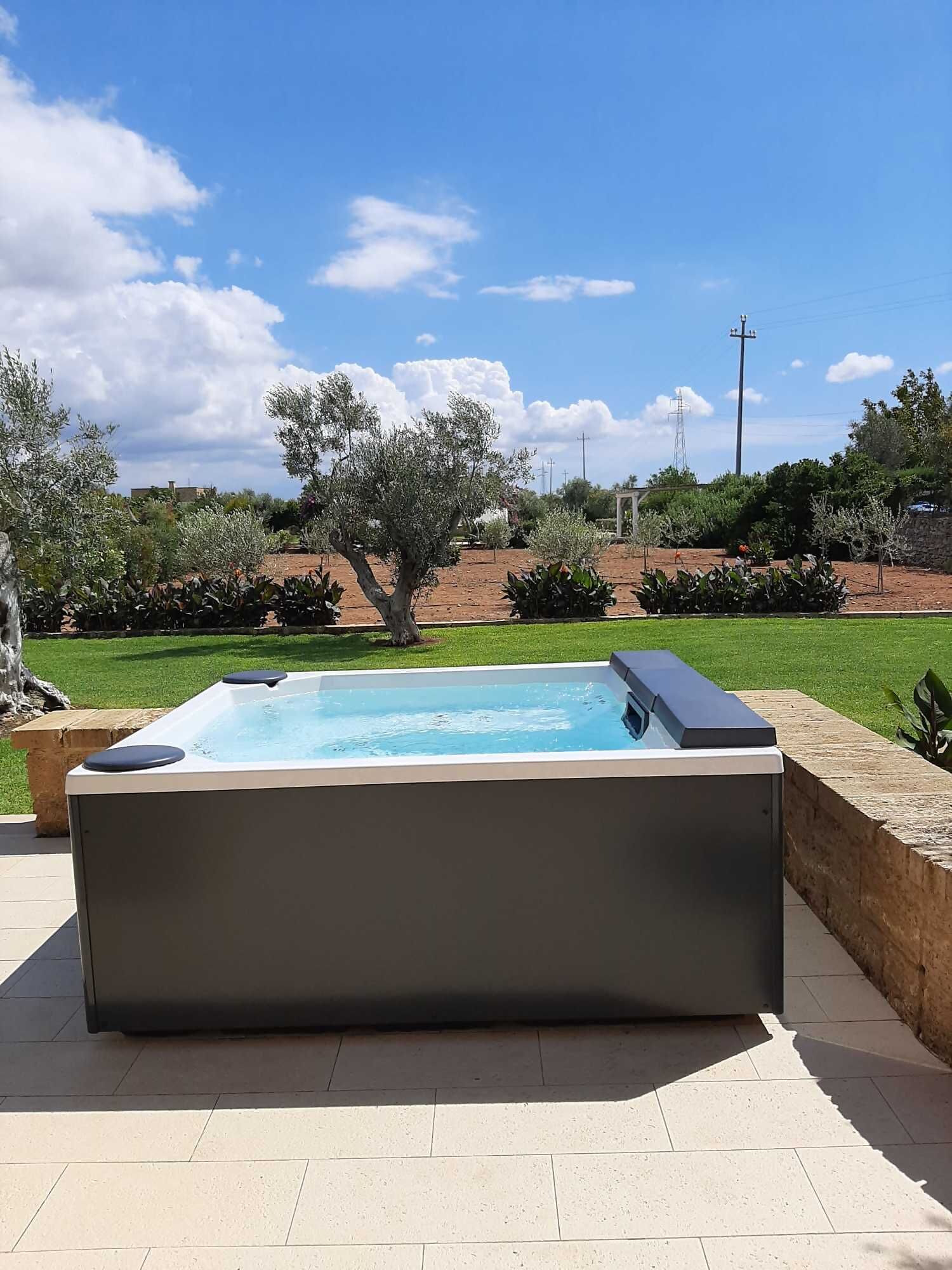 A rectangular hot tub with a built-in heater, surrounded by a stone wall and a grassy area with trees and shrubs.