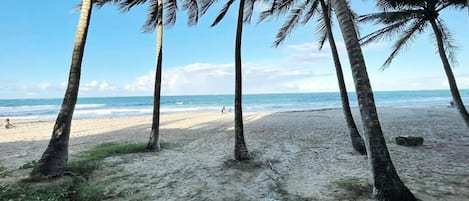 ビーチ、サンラウンジャー、ビーチタオル