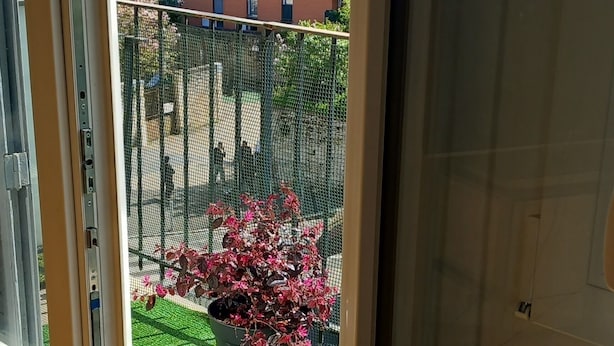 A view through a window of a balcony with artificial grass and a potted plant. - Studio 26 m2, à 5 mn de Paris (Arcueil)