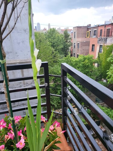 Private floor with outside balcony in a Harlem Brownstone
