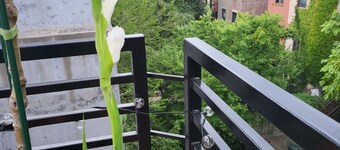 Private floor with outside balcony in a Harlem Brownstone