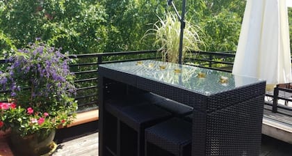 Private floor with outside balcony in a Harlem Brownstone