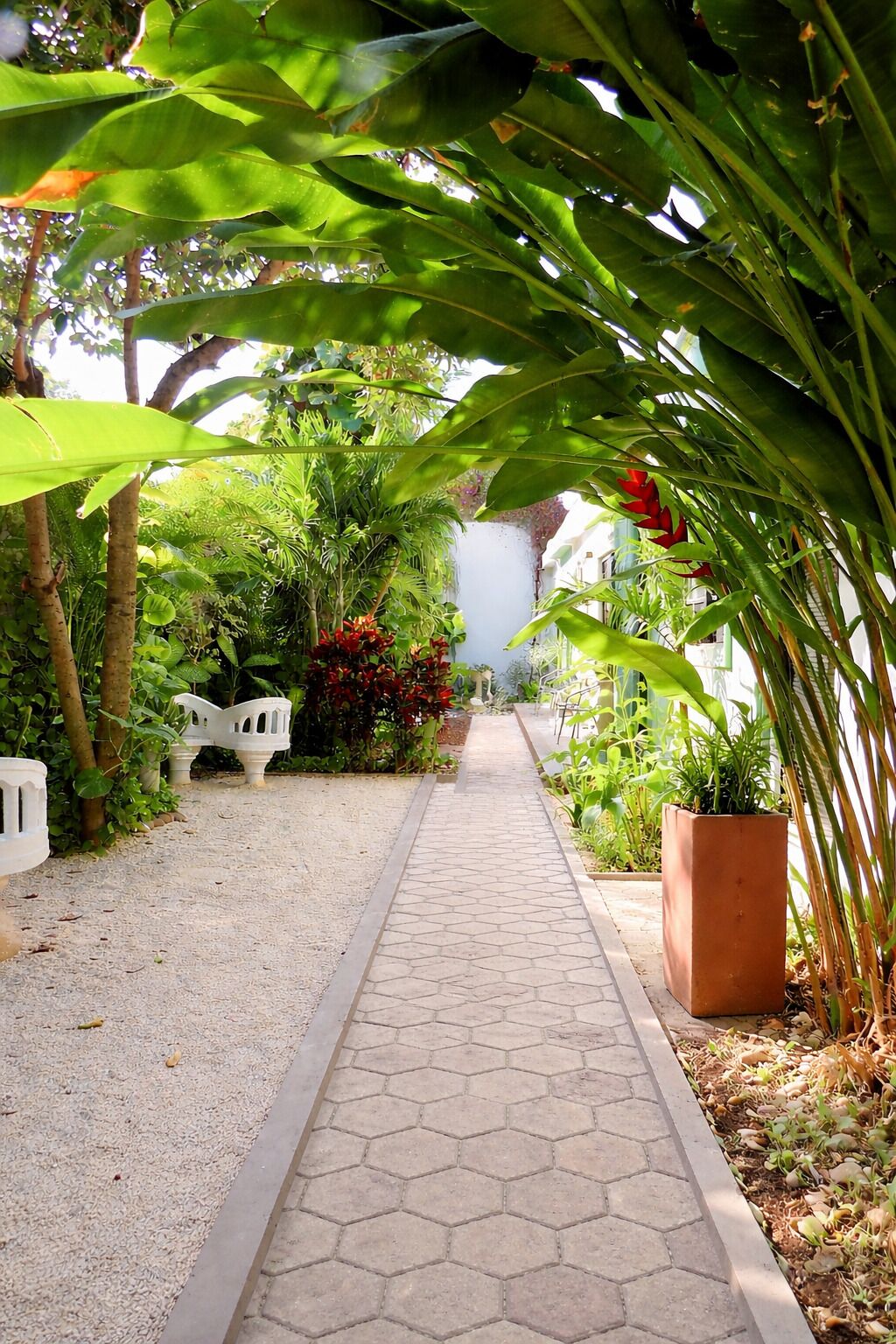 Foto - Casa Magu Merida