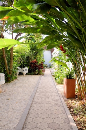 Um caminho no jardim com ladrilhos hexagonais, cercado por vegetação exuberante e um banco branco.