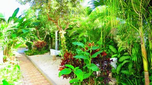 A garden pathway with various plants and a white bench. - Casa Magu Merida (Mérida)