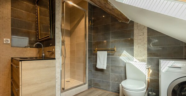 Shower, hair dryer, towels