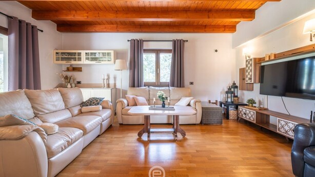 Un salon avec un plafond en bois, deux canapés, une table basse et un téléviseur.