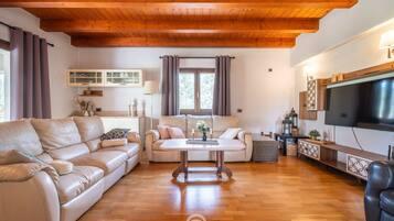 Fernseher, Stereoanlage