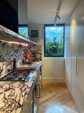 Fridge, microwave, oven, stovetop - Peaceful Luxury Surry Hills Apartment with office (Surry Hills)