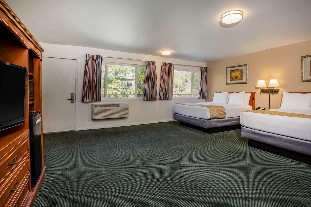 Habitación de hotel con dos camas, televisión, calefacción y una ventana con cortinas.