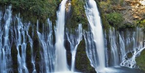 Miscellaneous - Travelodge by Wyndham Red Bluff South of Redding (Red Bluff)