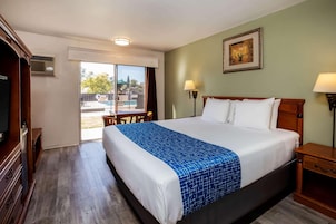 A hotel room with a large bed, a television, a desk, and a view of the outside.