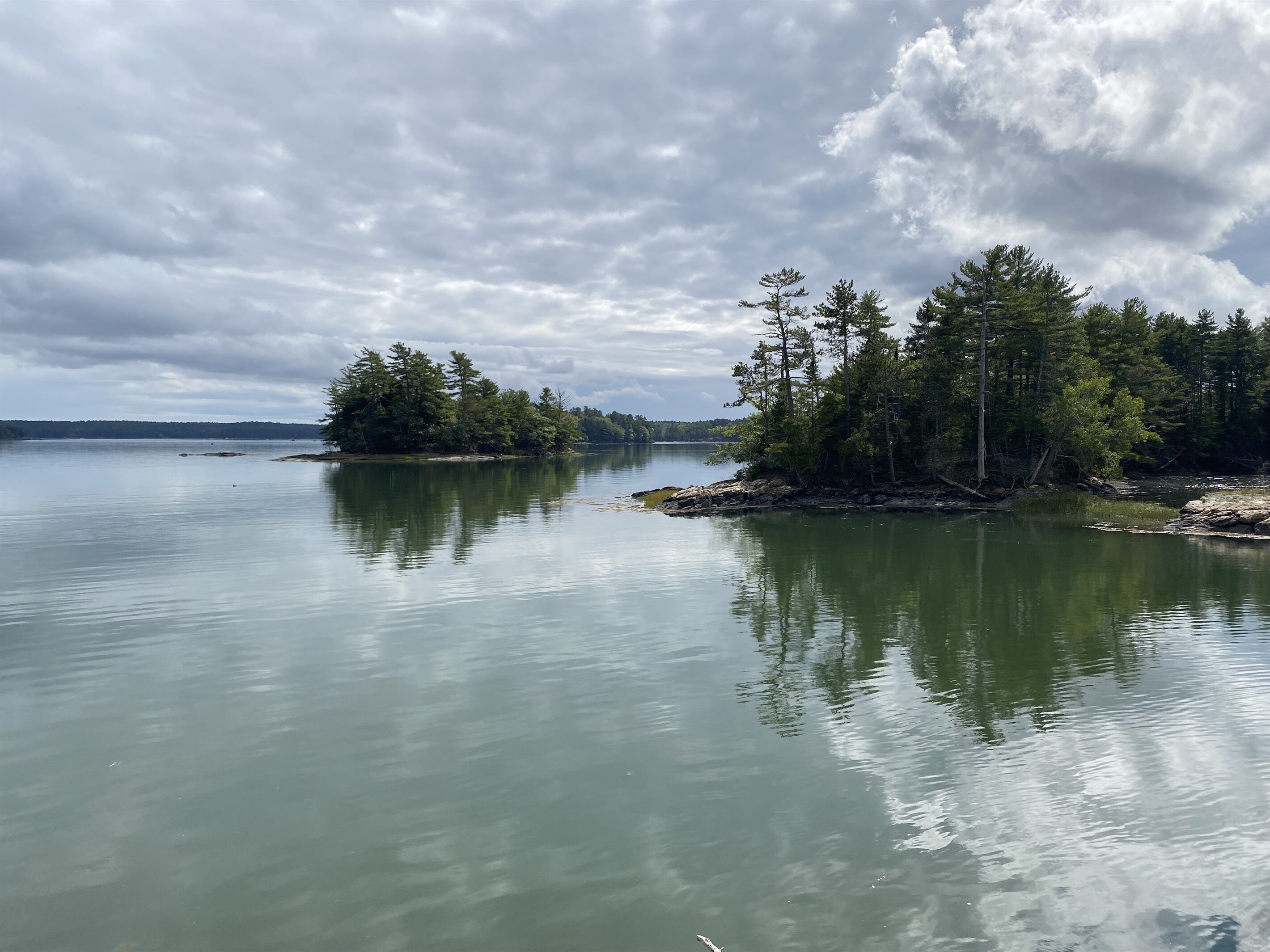 Un lago tranquillo con una piccola isola alberata.