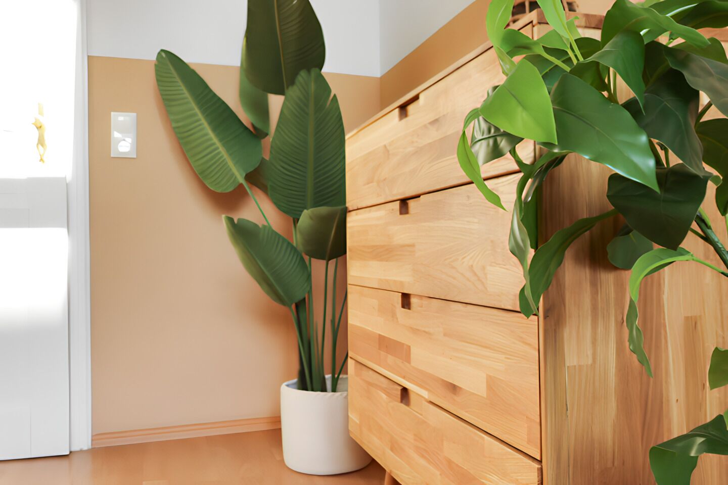 A room with a wooden cabinet and a potted plant.